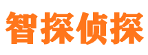 仲巴市私家侦探